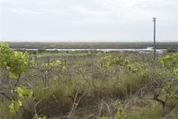 2004-04-08-013-Salt-marshes