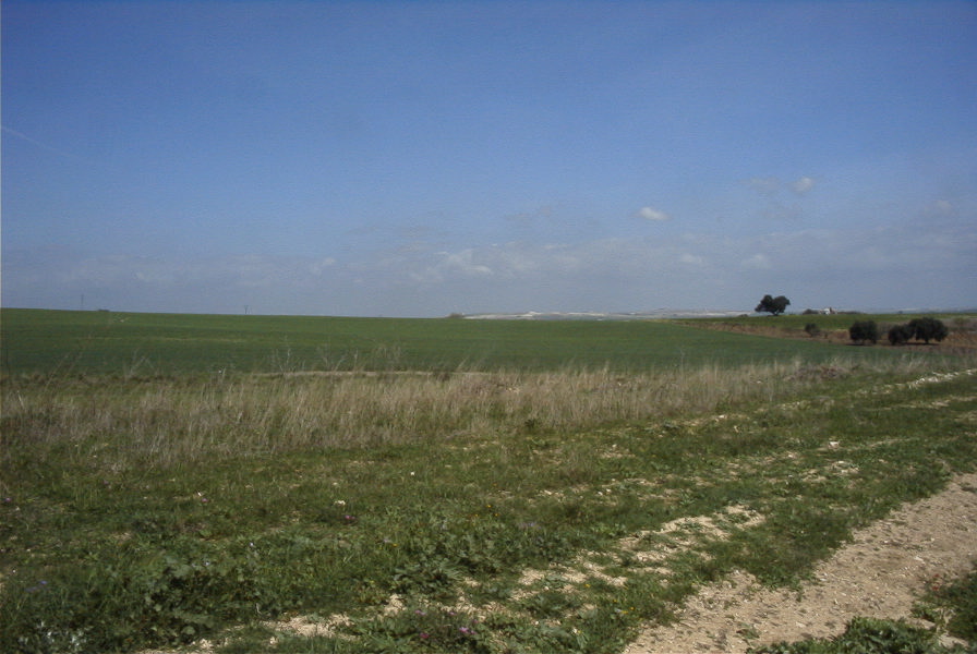 2005-03-29-021-Panorama