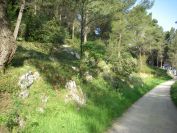 2011-04-12-003-The-Route-Just-Got-Nice