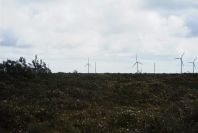 2003-04-15-038-Mosqueiro-wind-farm
