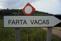 2003-04-18-006-Farta-Vacas