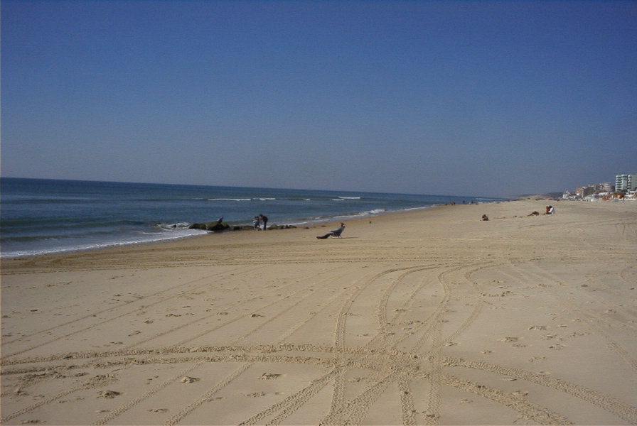 2005-02-13-001-Matalascanas-beach