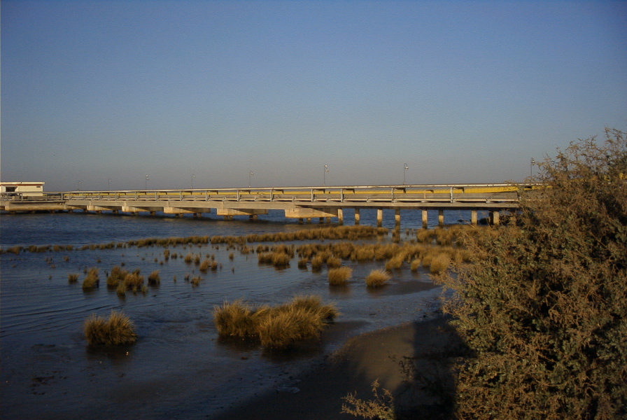 2005-02-14-002-Rio-Odiel-at-Huelva