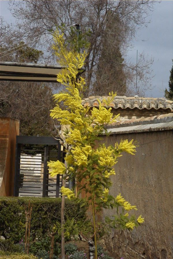 2007-02-14-044-Granada-Alhambra
