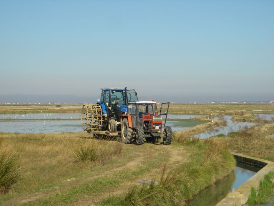 2008-12-22-028-Tractor-and-Wheels-for-Rice-Paddy