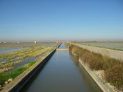2008-12-22-032-Canal