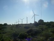 2009-05-29-045-Wind-Farms