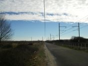 2011-02-25-008-Wind-Swept-Road