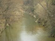2011-02-26-040-River-Arc