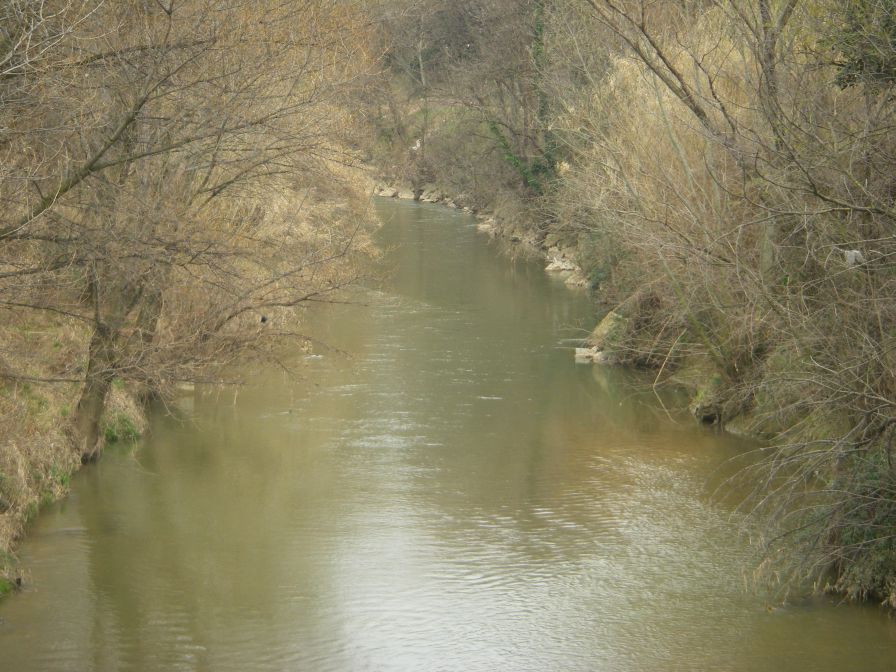 2011-02-26-040-River-Arc