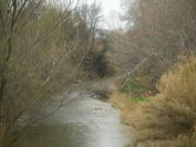 2011-02-26-041-River-Arc
