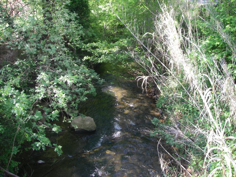 2011-04-16-010-Another-Stream