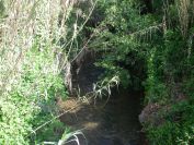 2011-04-16-011-Another-Stream