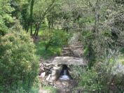 2011-04-16-020-Another-Stream