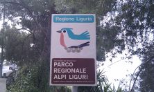 2011-04-24-031-Parco-Regionale-Alpi-Liguri