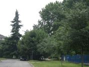2012-06-09-011-Brescia-Park